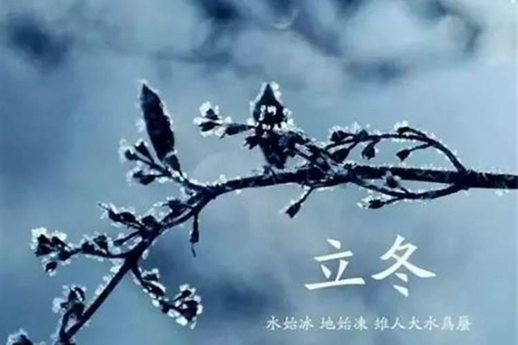 立冬了注意保暖初冬微寒