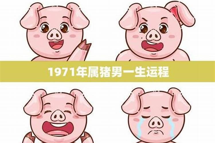 1971年猪的一生运程如何？