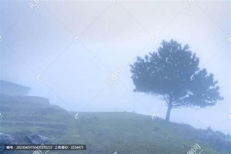 梦见看见雾里的大山