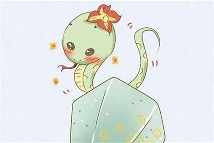 属蛇和属鼠的合不合