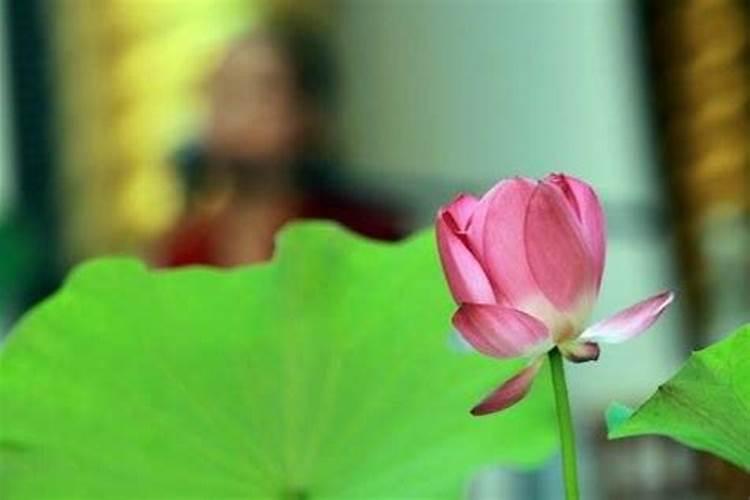 堕胎之前要去寺院超度吗？