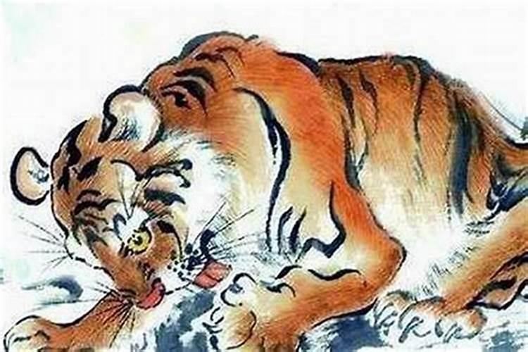 属虎和属蛇的2026年7月运势如何？