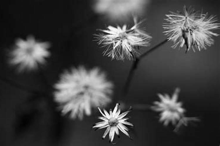 黄历合婚订婚是什么意思？