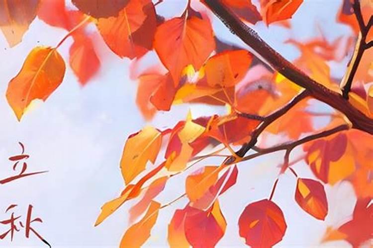 立秋节气几天？