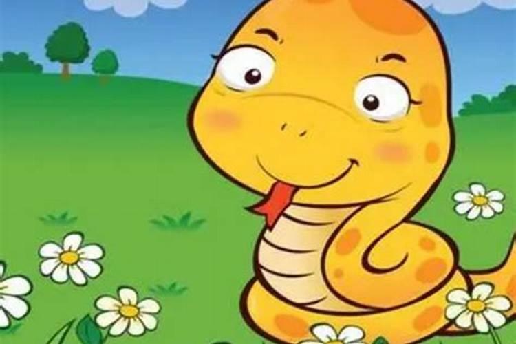 属蛇和属鼠合婚好吗？