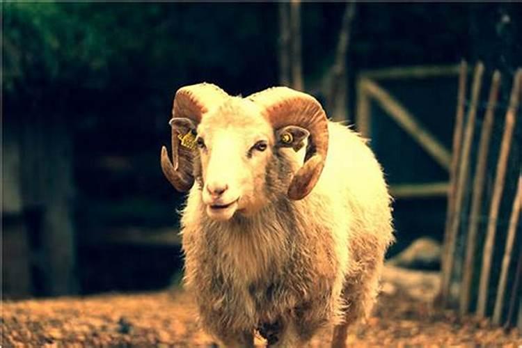 梦到自己被卖了咋回事