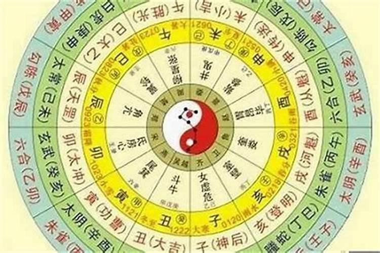 生辰八字到底是什么动物？