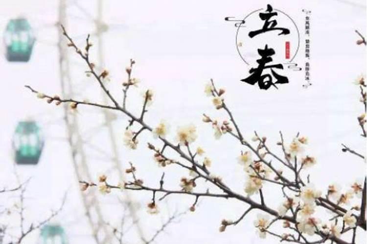 哪一天立春立冬？