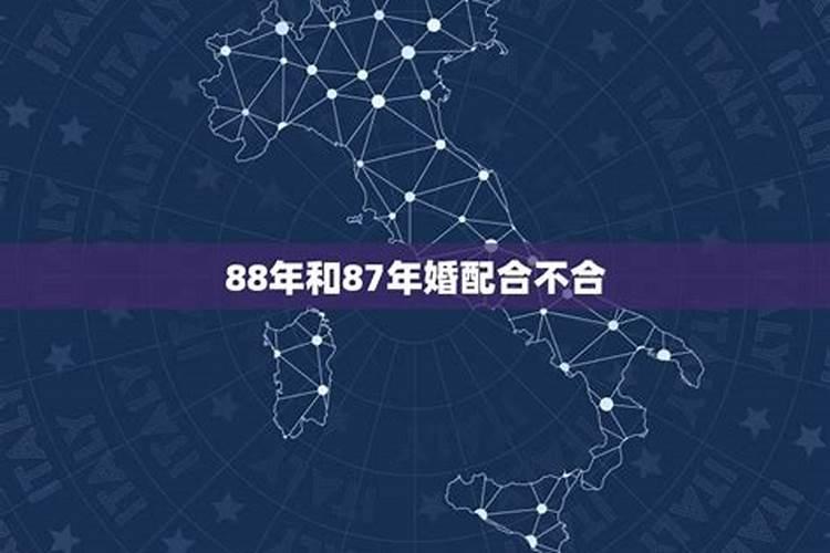 87女兔88男龙合婚吗？