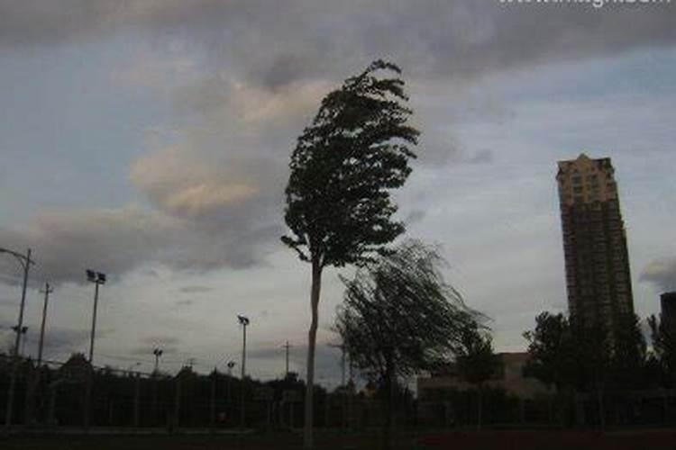 梦到大风是什么意思？