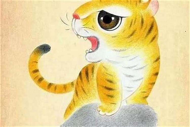 男属鼠跟女属虎八字合吗？