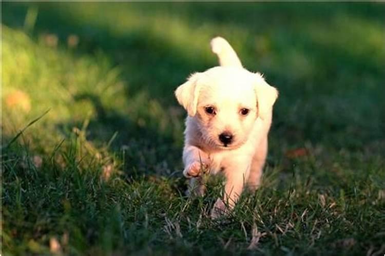 梦到洪水冲走人和房屋