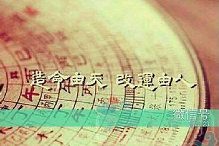 生辰八字食禄什么意思？