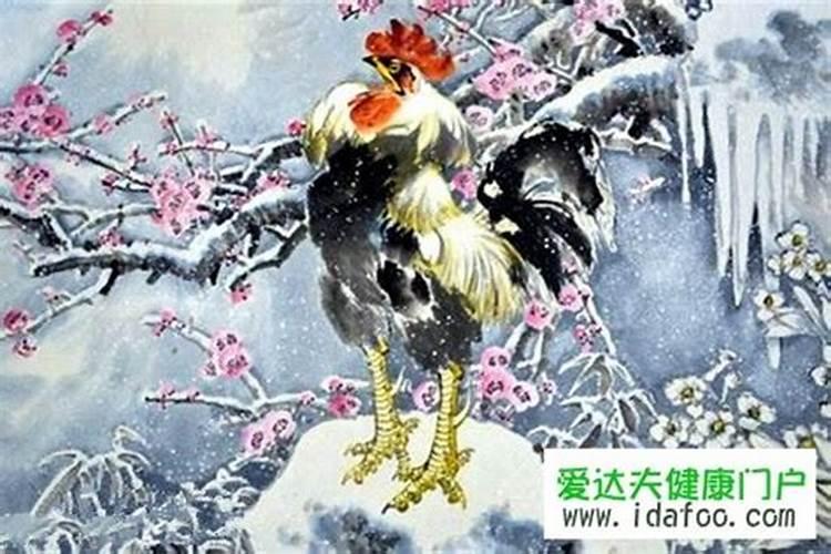 69年属鸡2026年下半年运势如何？