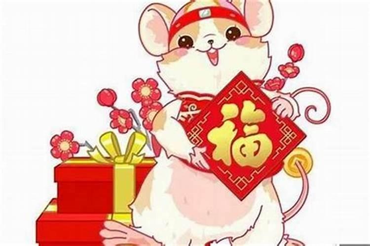 老鼠今年运势怎么样？