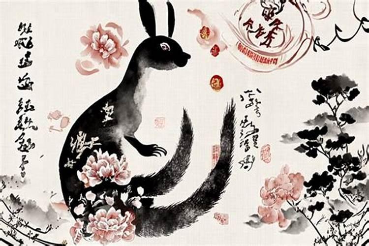 属兔肖2026年运程