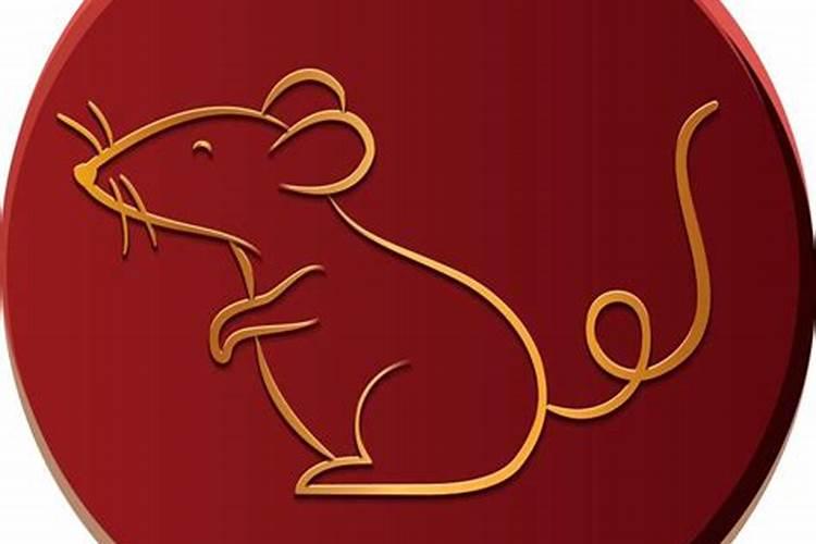 男属鼠和女属蛇的合婚吗？