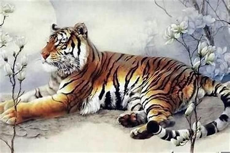 本命年的虎生虎宝宝好不好？