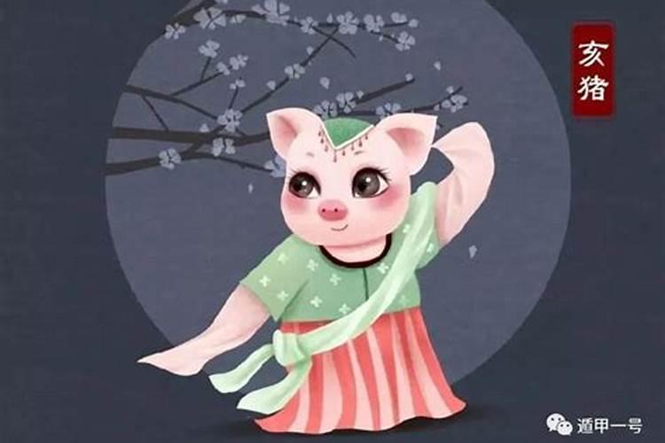 1995生肖猪2026年运程