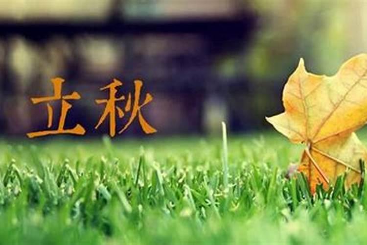 立秋出生的和小雪出生的