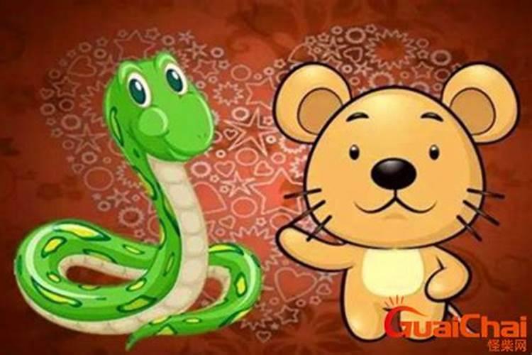 属蛇的和属鼠的八字合不合