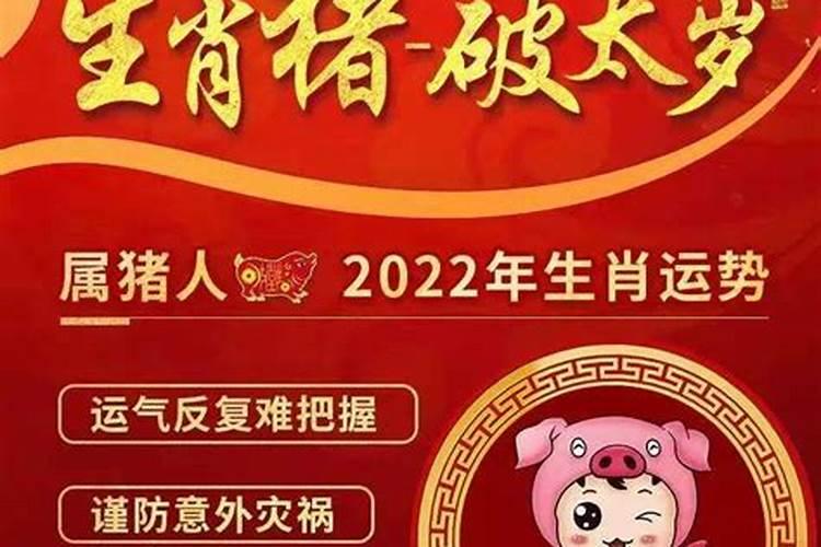 如何破解冲太岁2026？