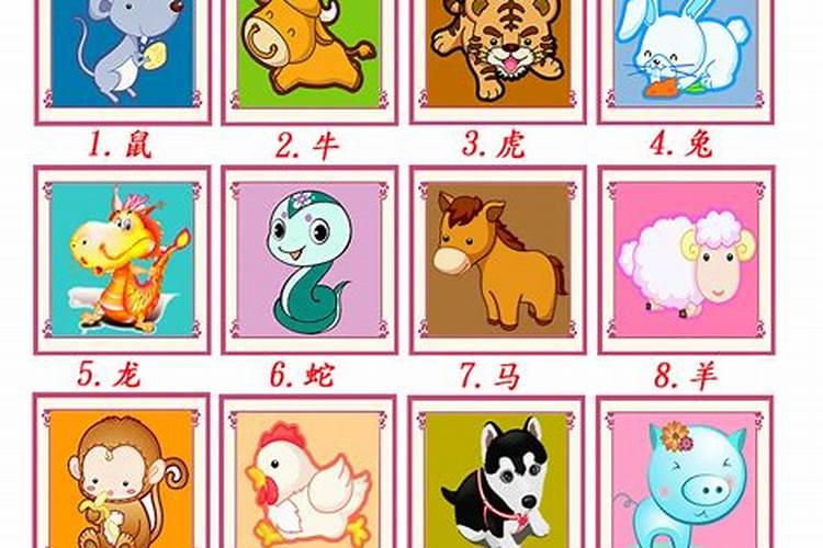 小人是哪些生肖的动物？