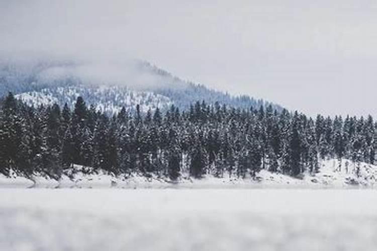 去年的时候冬至是几号？