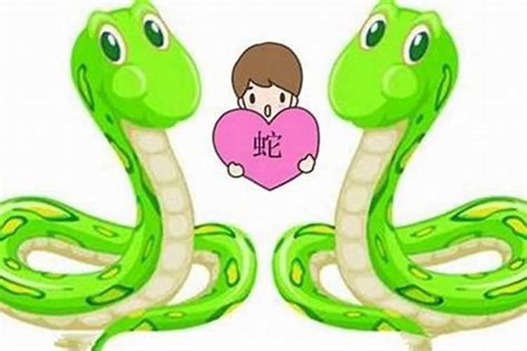 蛇和鸡可以合婚吗？