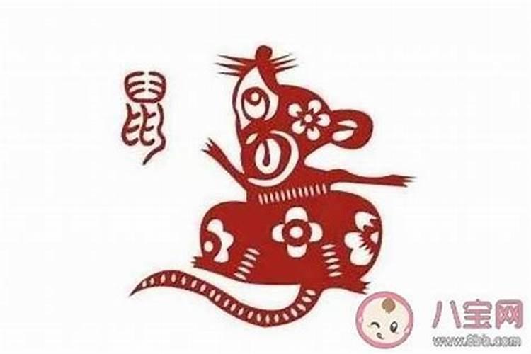 属鼠2026下半年的运程