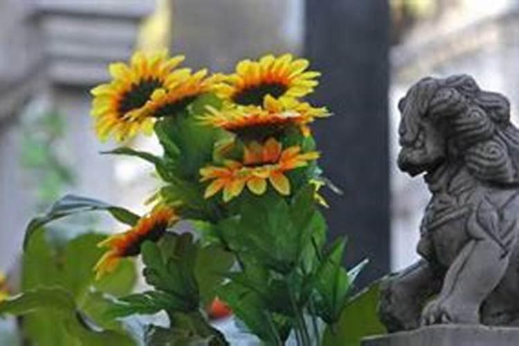 梦见墓地周围栽竹子