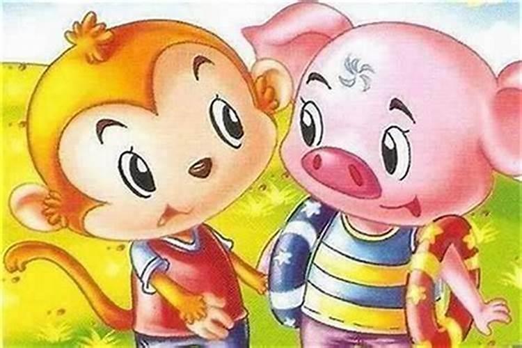 属猴和属兔子的合婚吗？