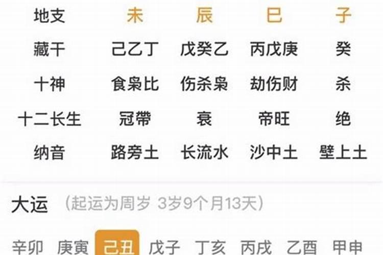 丁火日柱2026年运程