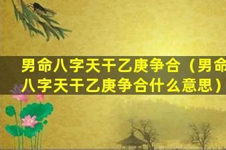 八字争合是什么意思？