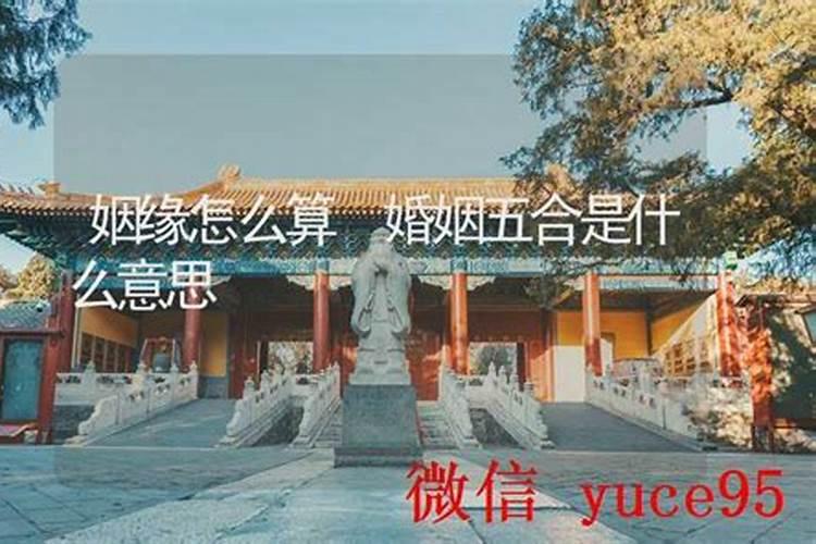 算命婚姻病是什么意思？