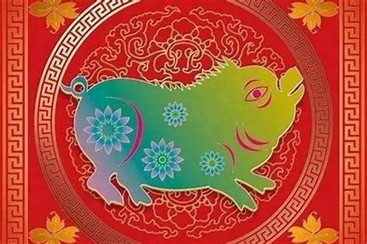 为什么猪年猪时生犯太岁？
