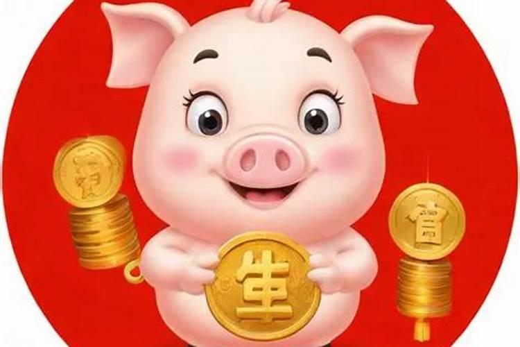 71年属猪的今年运势怎么样？