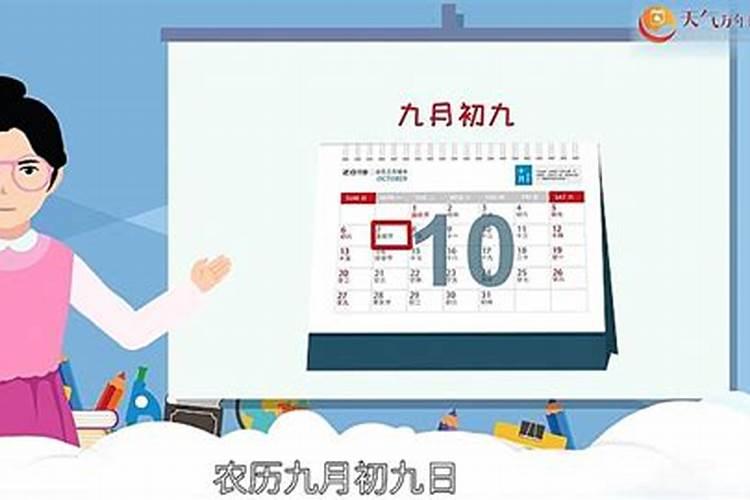 重阳节都能干哪些事情？