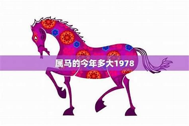 1978年属马人在2026年的运程