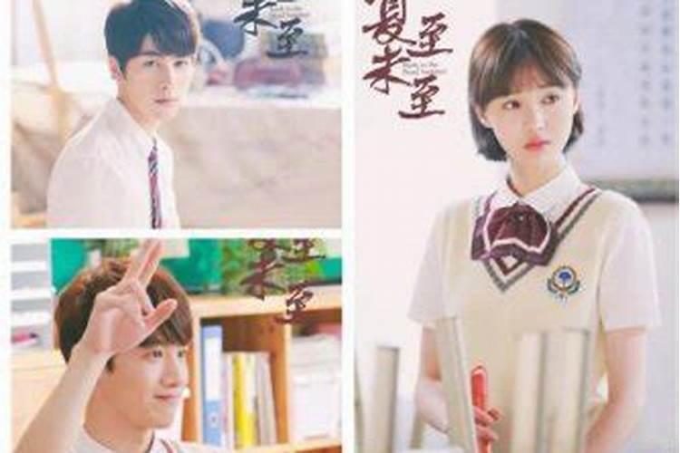 夏至夏末什么时候播出？