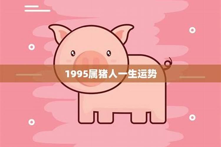 1995属猪人2026年运势运程