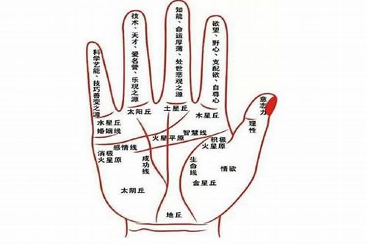 89年十个簸箕2026年运势