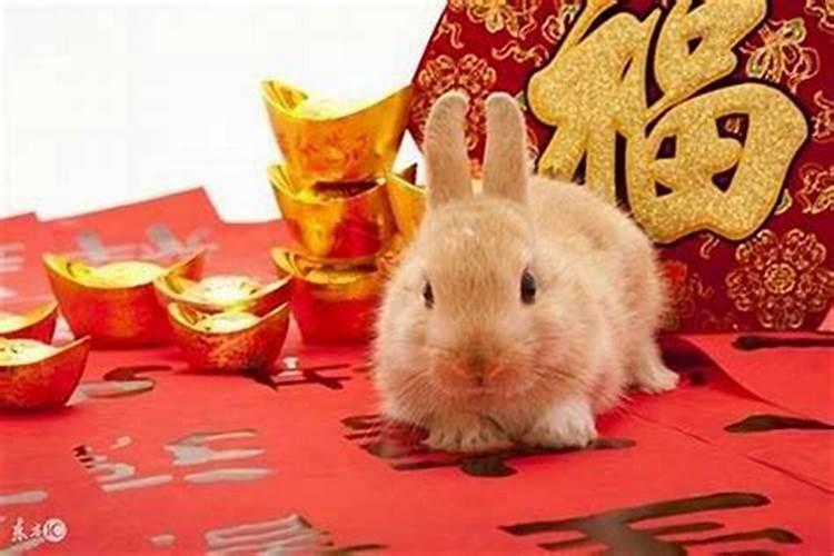 1975属兔人2026年运势女