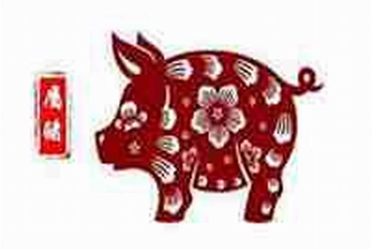 猪的运势2026年运势