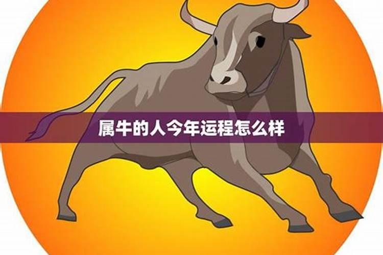 属牛今年分月运程