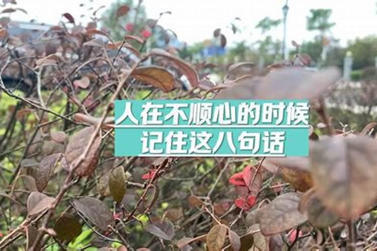 小人为啥让你不顺心？