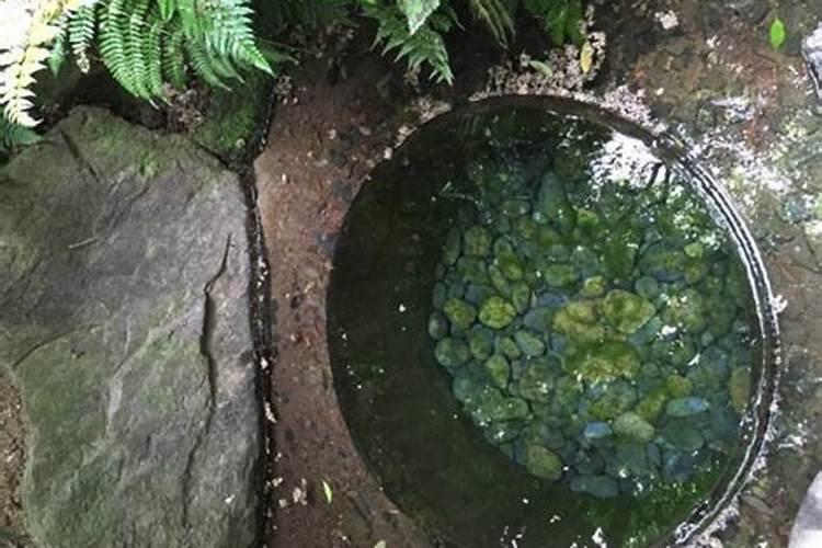 梦见井水满满的是什么兆头？