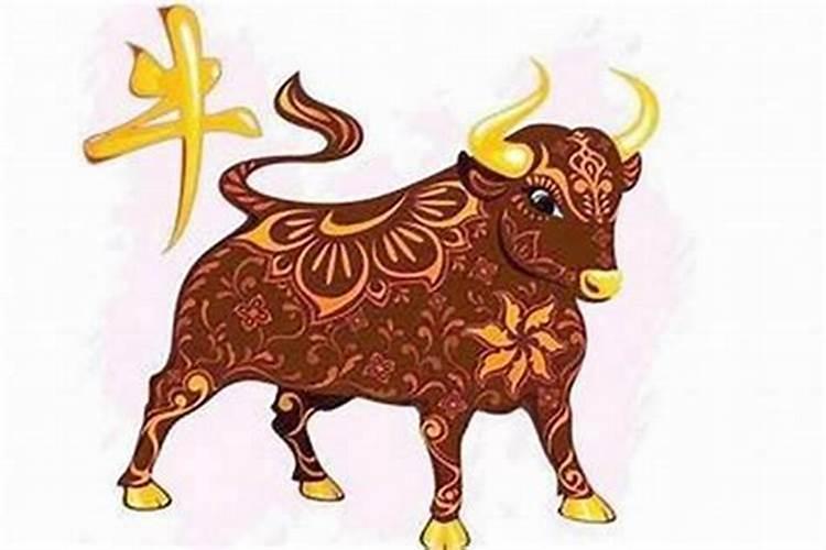 酉时出生的属牛男孩运程