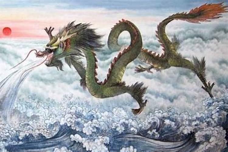 属龙的今年多大？