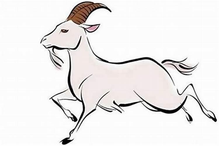 91年男属羊2026年运势如何？